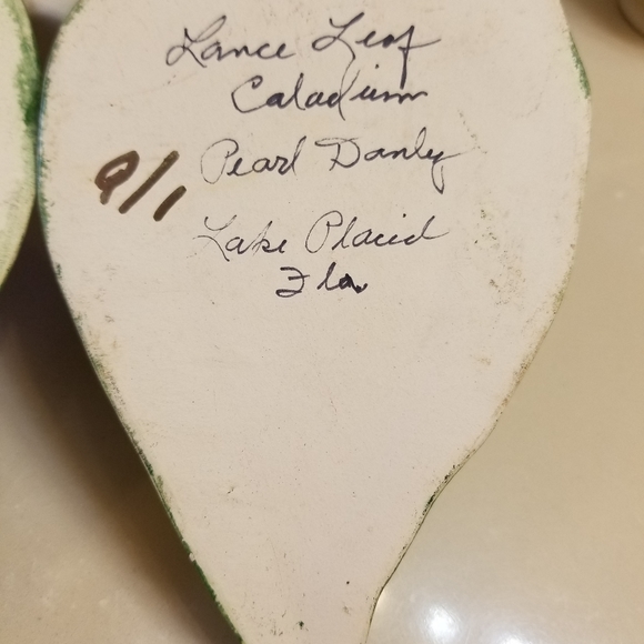 Caladium leaf wall hanging - Picture 5 of 5